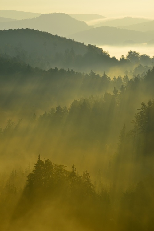 ranní mlhy v Českém Švýcarsku