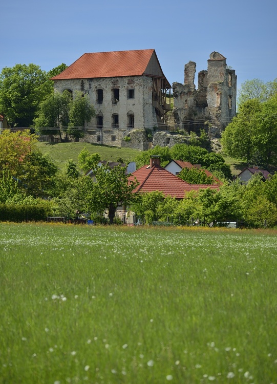 zřícenina hradu Košumberk