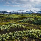 Hekla