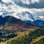 Marmolada