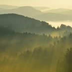 ranní mlhy v Českém Švýcarsku