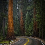 Sequoia National Park